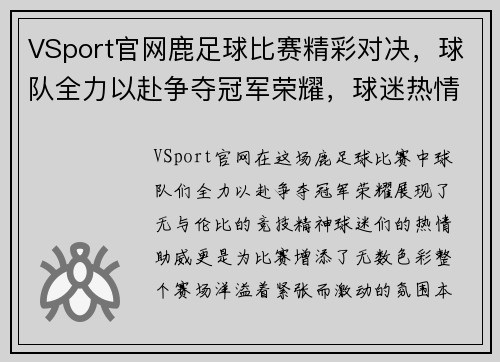 VSport官网鹿足球比赛精彩对决，球队全力以赴争夺冠军荣耀，球迷热情高涨助威加油
