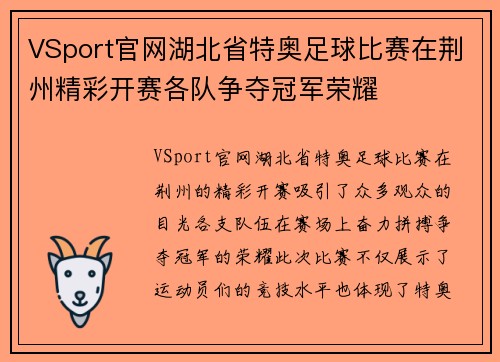VSport官网湖北省特奥足球比赛在荆州精彩开赛各队争夺冠军荣耀