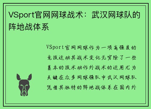 VSport官网网球战术：武汉网球队的阵地战体系